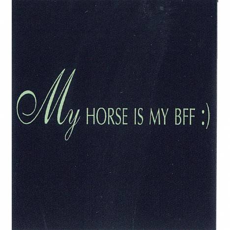 My Horse is my BFF Tee Shirt