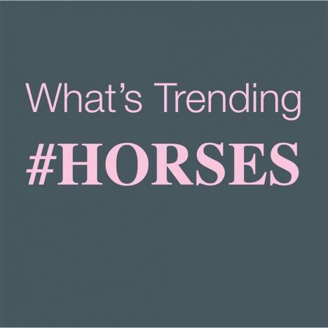 Whats Trending #Horses... Tee Shirt