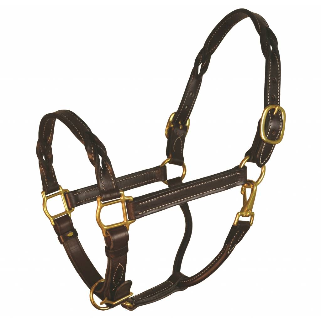 Perri's Twisted Leather Halter