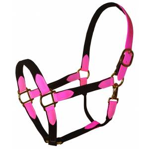 Perri's Beta and Cotton Safety Halter