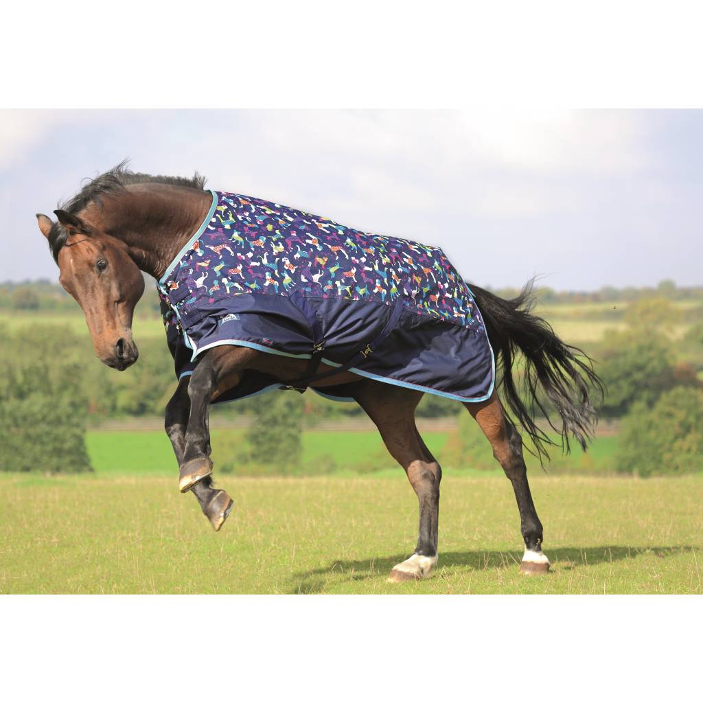 Shires Tempest Original Lite Turnout Blanket