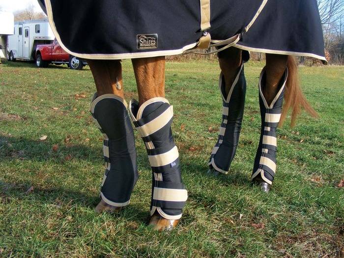 shires travel boots