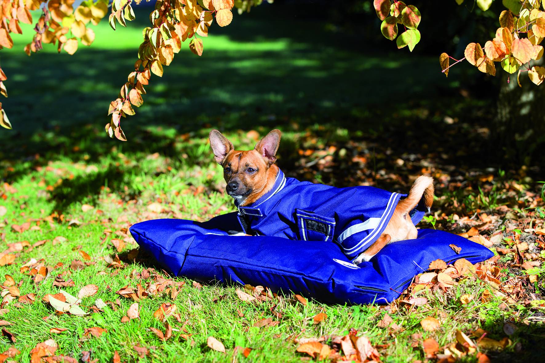 5-820907 Amigo Dog Bed sku 5-820907