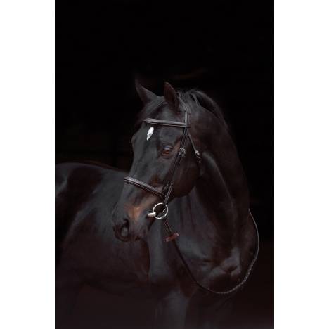 Amigo Deluxe Hunter Bridle