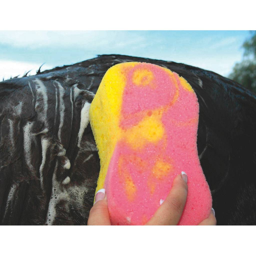 Tail Tamer Tie Dye Sponge