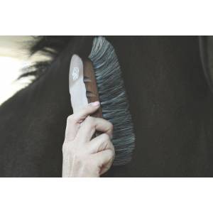 Tail Tamer Wood Series Large Horsehair Brush
