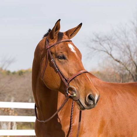 Horze Champion Snaffle Show Bridle