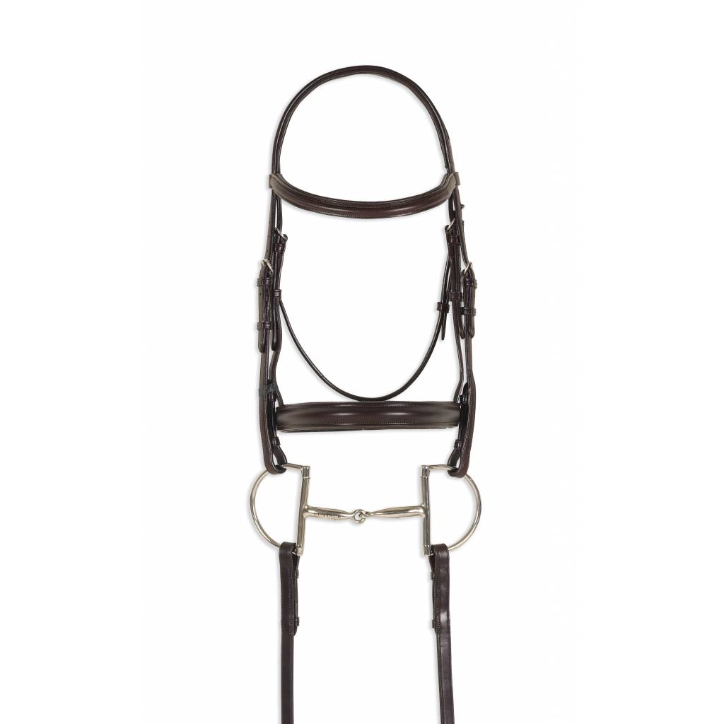 Ovation Breed Plain Raised Padded Bridle - Draft Cross, Brown