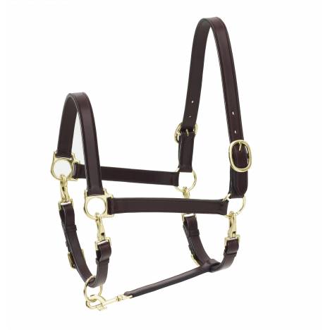 Ovation 4-Way Leather Grooming Halter