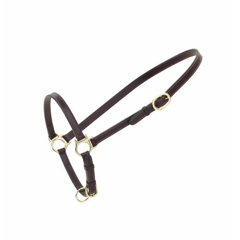 Ovation Leather Traditional Grooming Halter