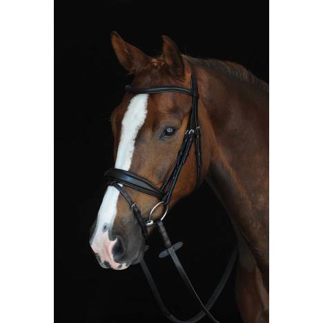 Collegiate Mono Crown Raised Bridle with Flash