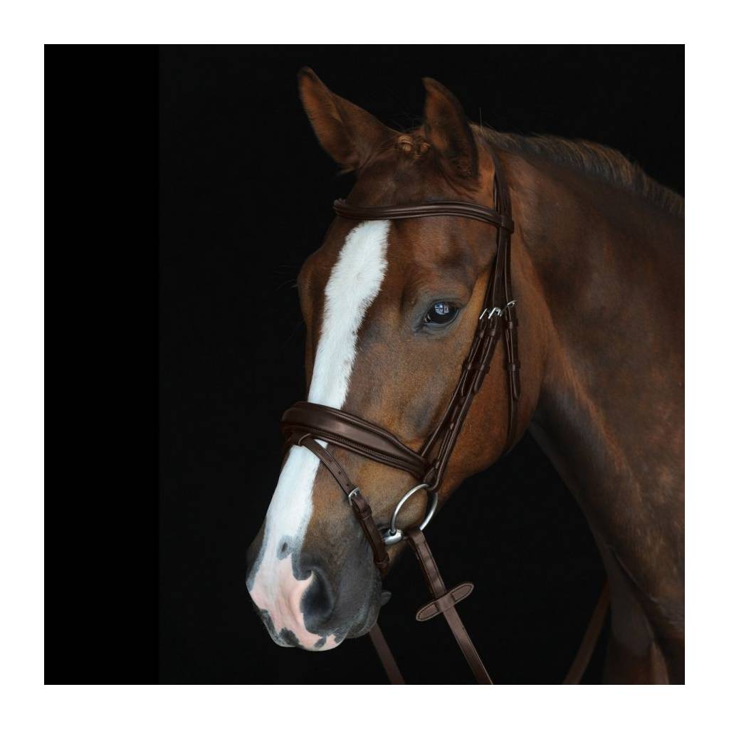 Collegiate Mono Crown Raised Bridle with Flash