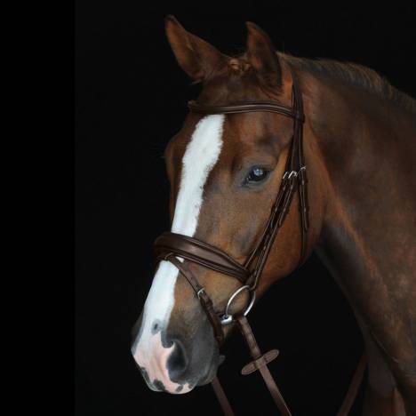 Collegiate Mono Crown Raised Bridle with Flash