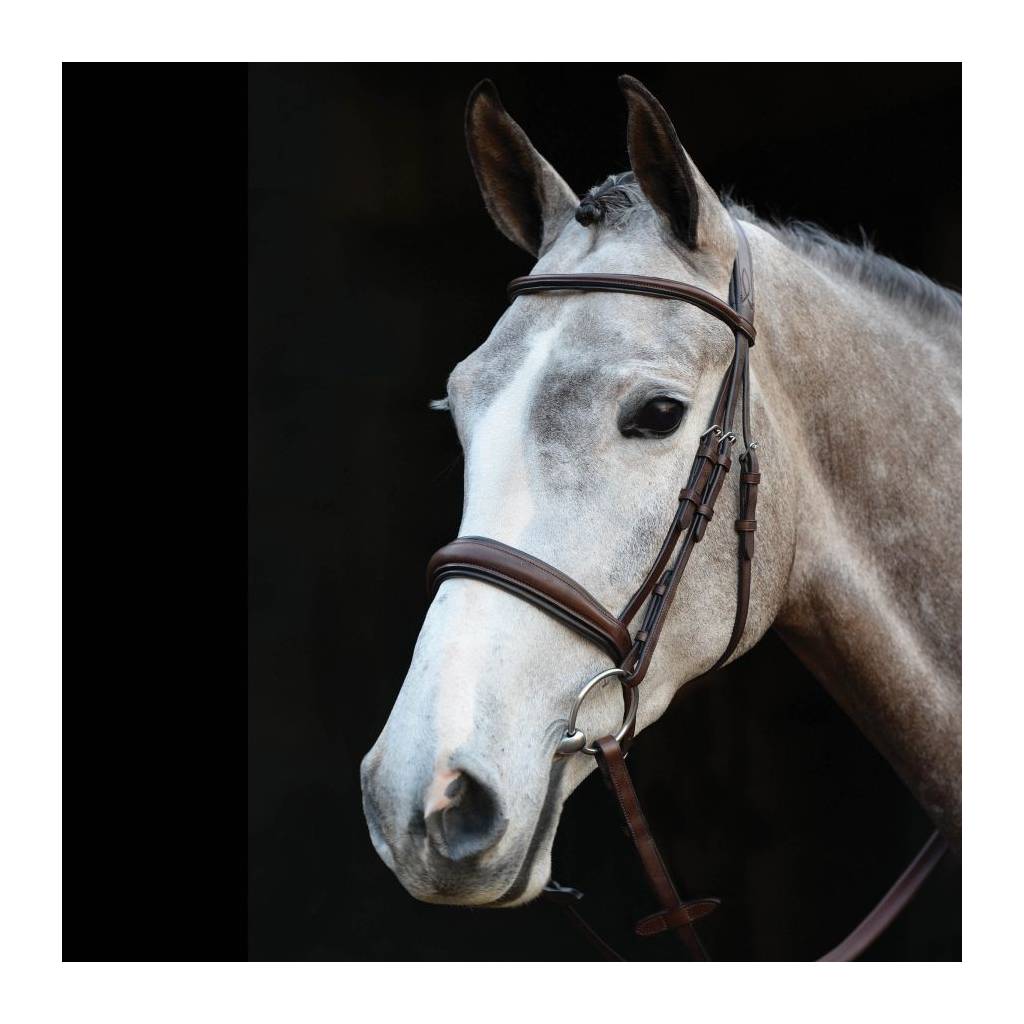 Collegiate Mono Crown Padded Raised Cavesson Bridle