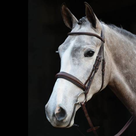 Collegiate Mono Crown Padded Raised Cavesson Bridle