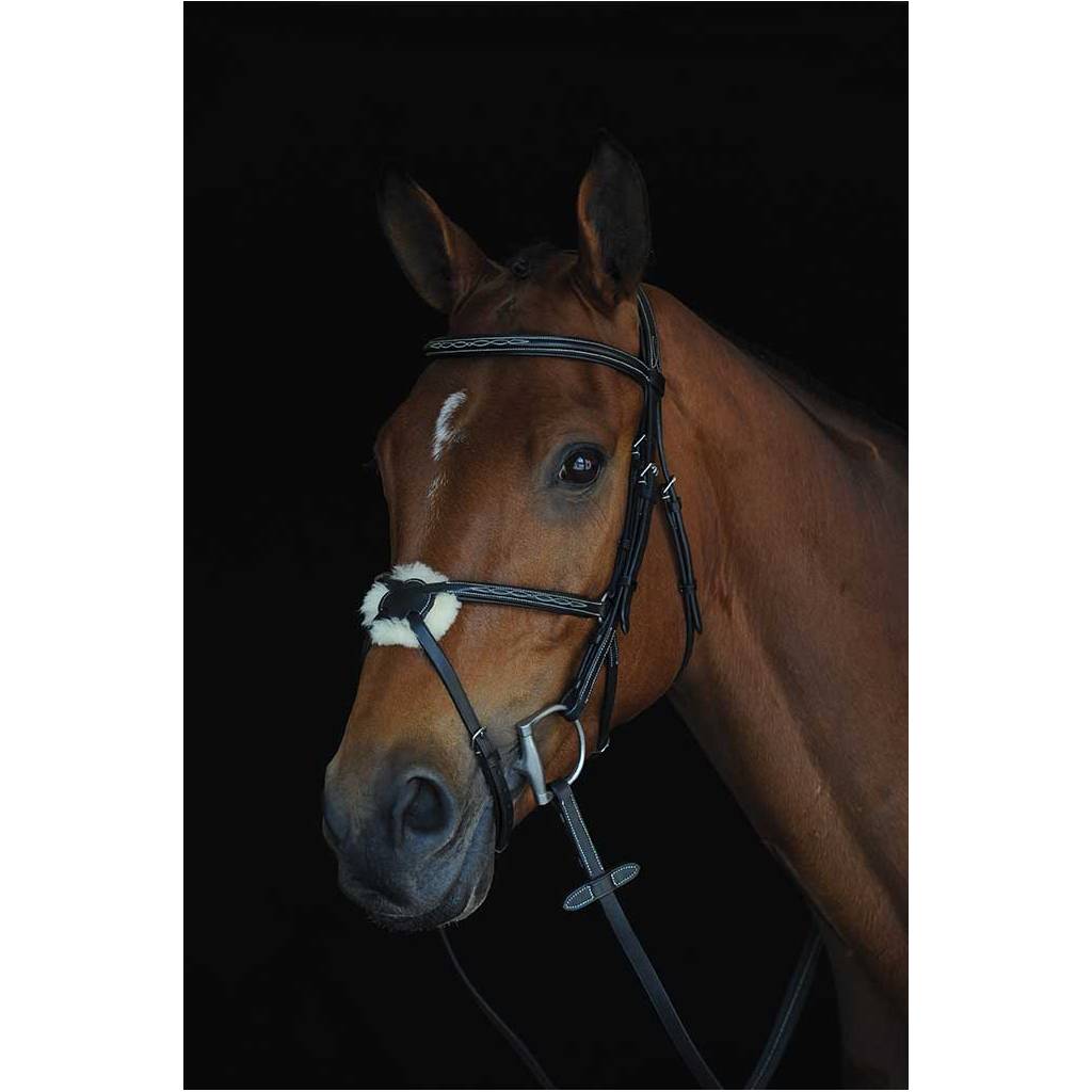 Collegiate Mono Crown Fancy Stitched Raised Figure 8 Bridle