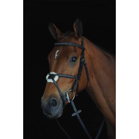 Collegiate Mono Crown Fancy Stitched Raised Figure 8 Bridle