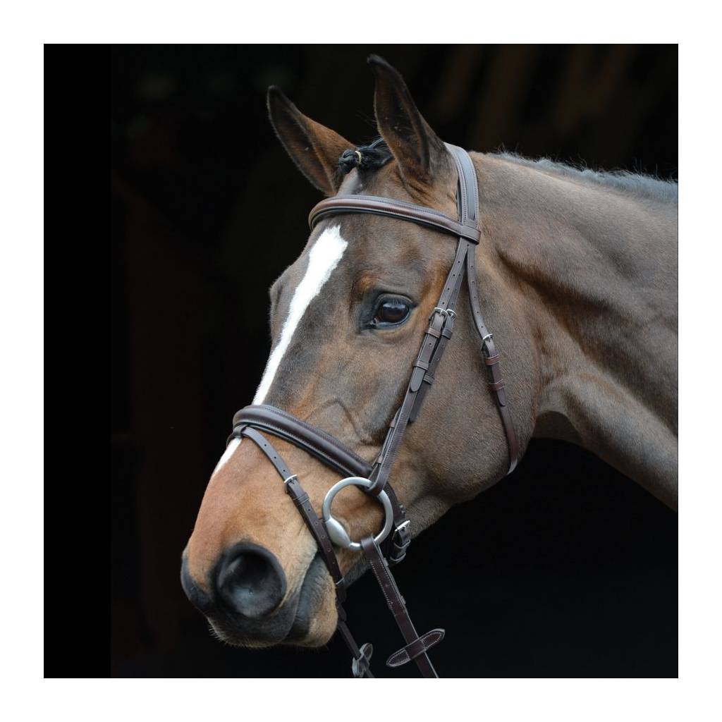 Collegiate Comfort Crown Padded Raised Flash Bridle