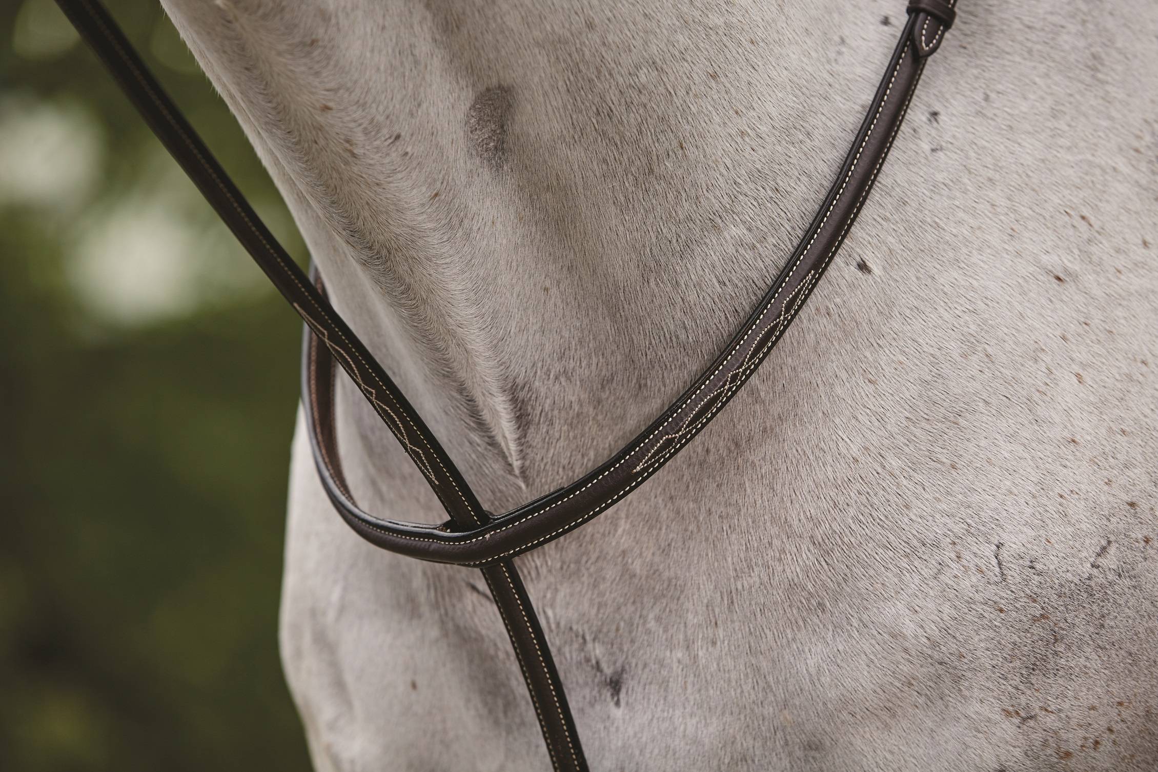 Collegiate Fancy Stitched Raised Standing Martingale ll