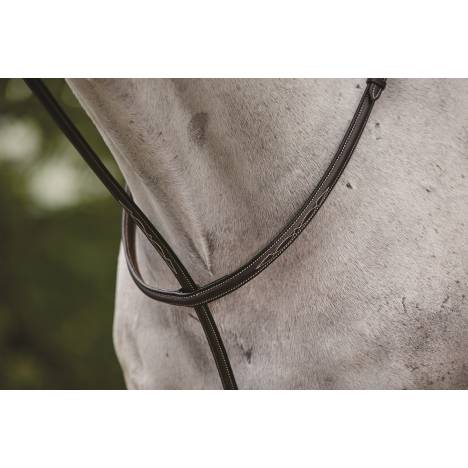 Collegiate Fancy Stitched Raised Standing Martingale ll