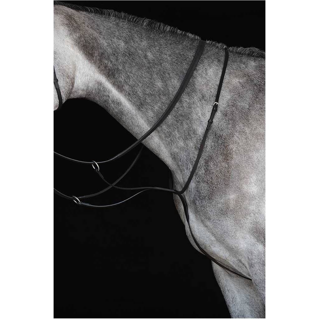 Collegiate Flat Running Martingale IV