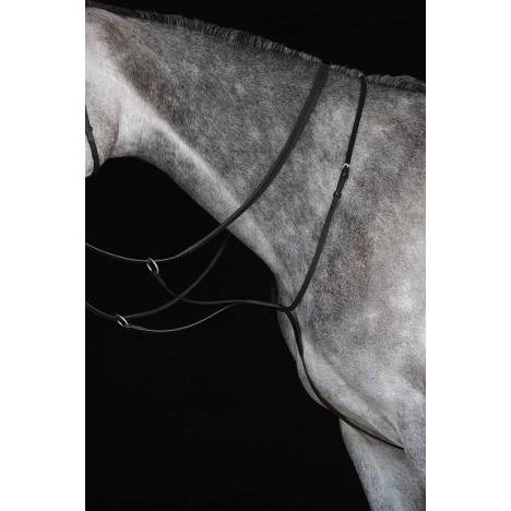 Collegiate Flat Running Martingale IV