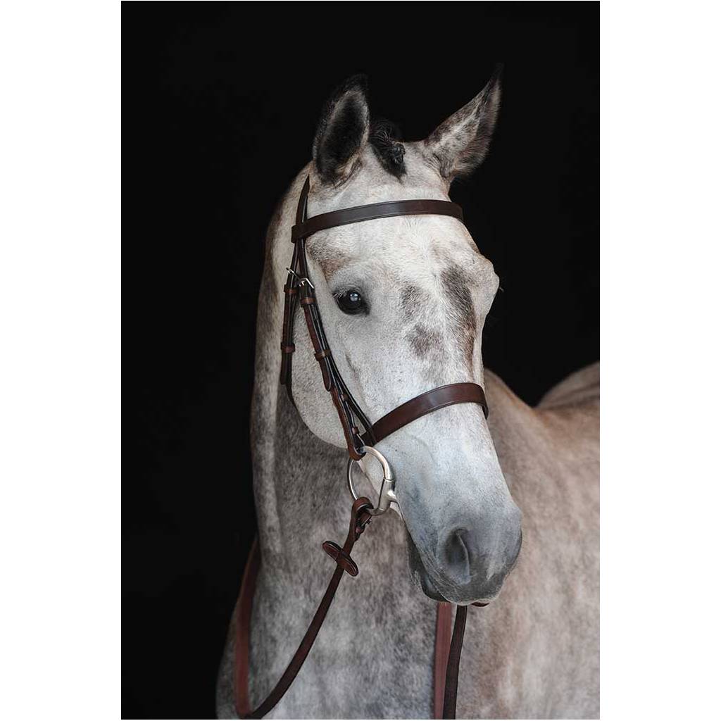 Collegiate Hunt Cavesson Bridle IV