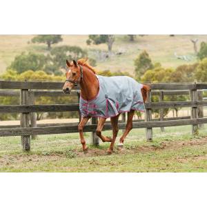 Saxon 1200D Standard Neck Turnout Blanket With Gusset ll-Heavy Weight