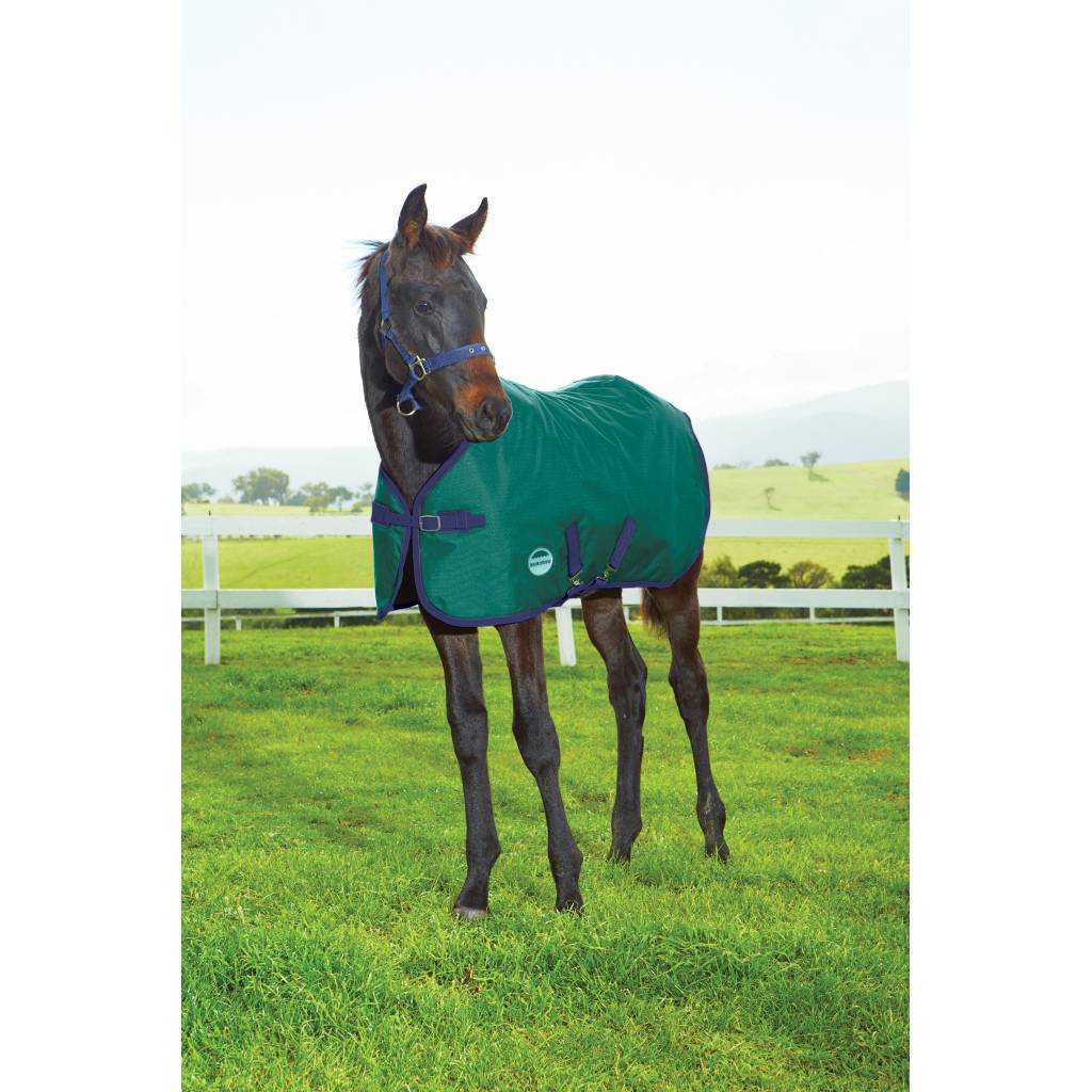 Weatherbeeta 1200D Standard Neck Blanket-Foal