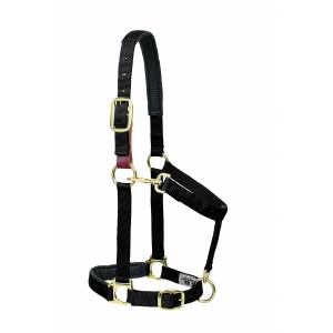 Weaver Solid Color Padded Breakaway Adjustable Chin and Throat Snap Halter