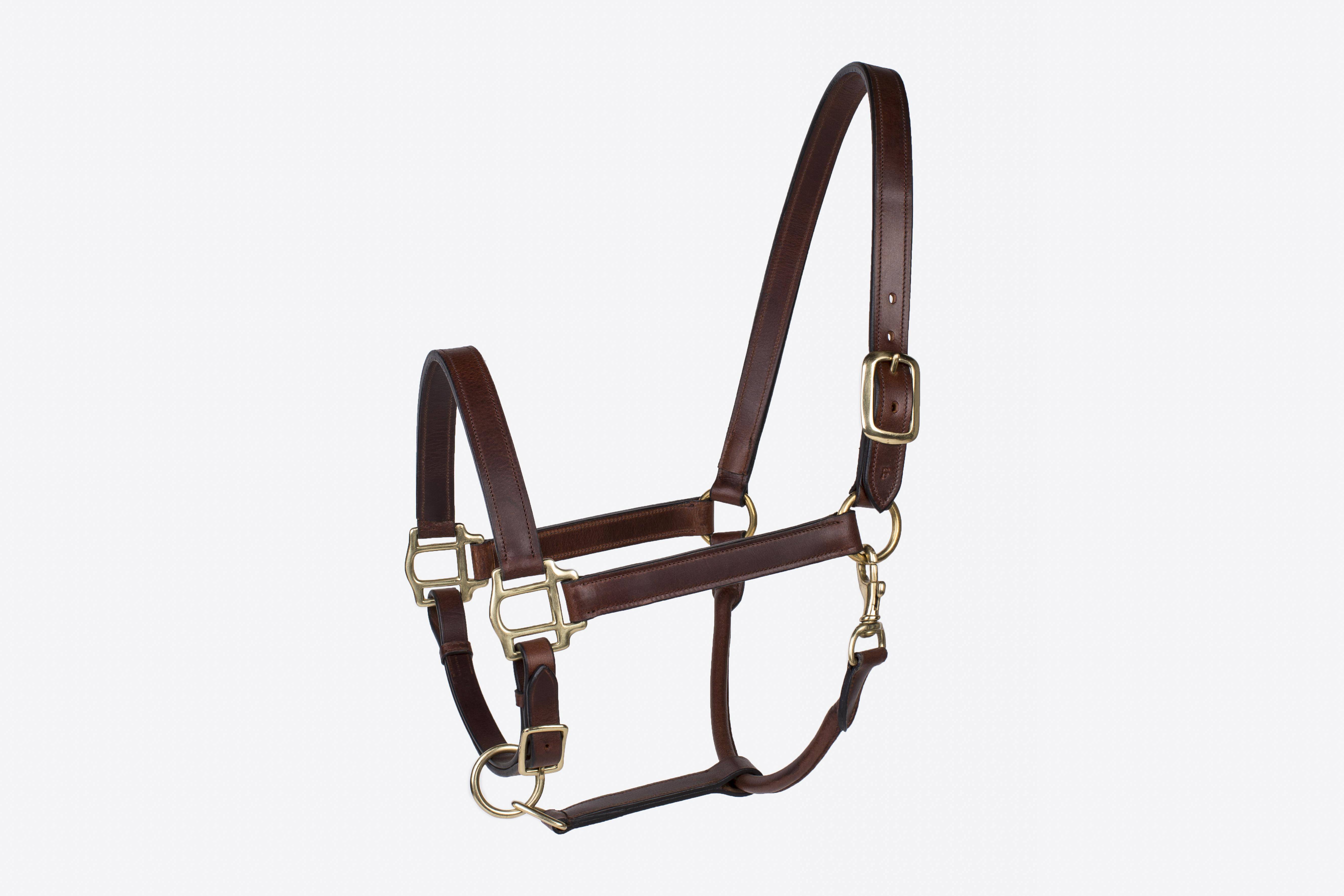 Millstone Leather Halter With  Brass Hardware