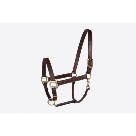 Millstone Leather Halter With Brass Hardware