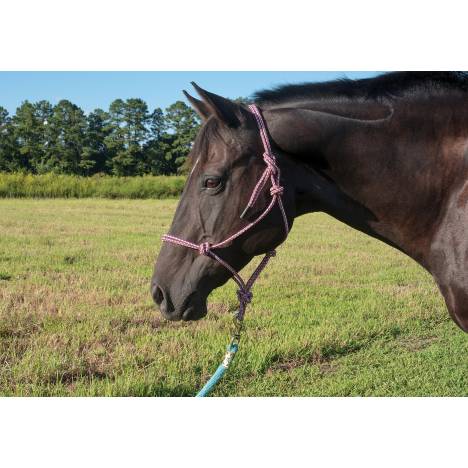 Equi-Sky Confetti Glitter Rope Halter