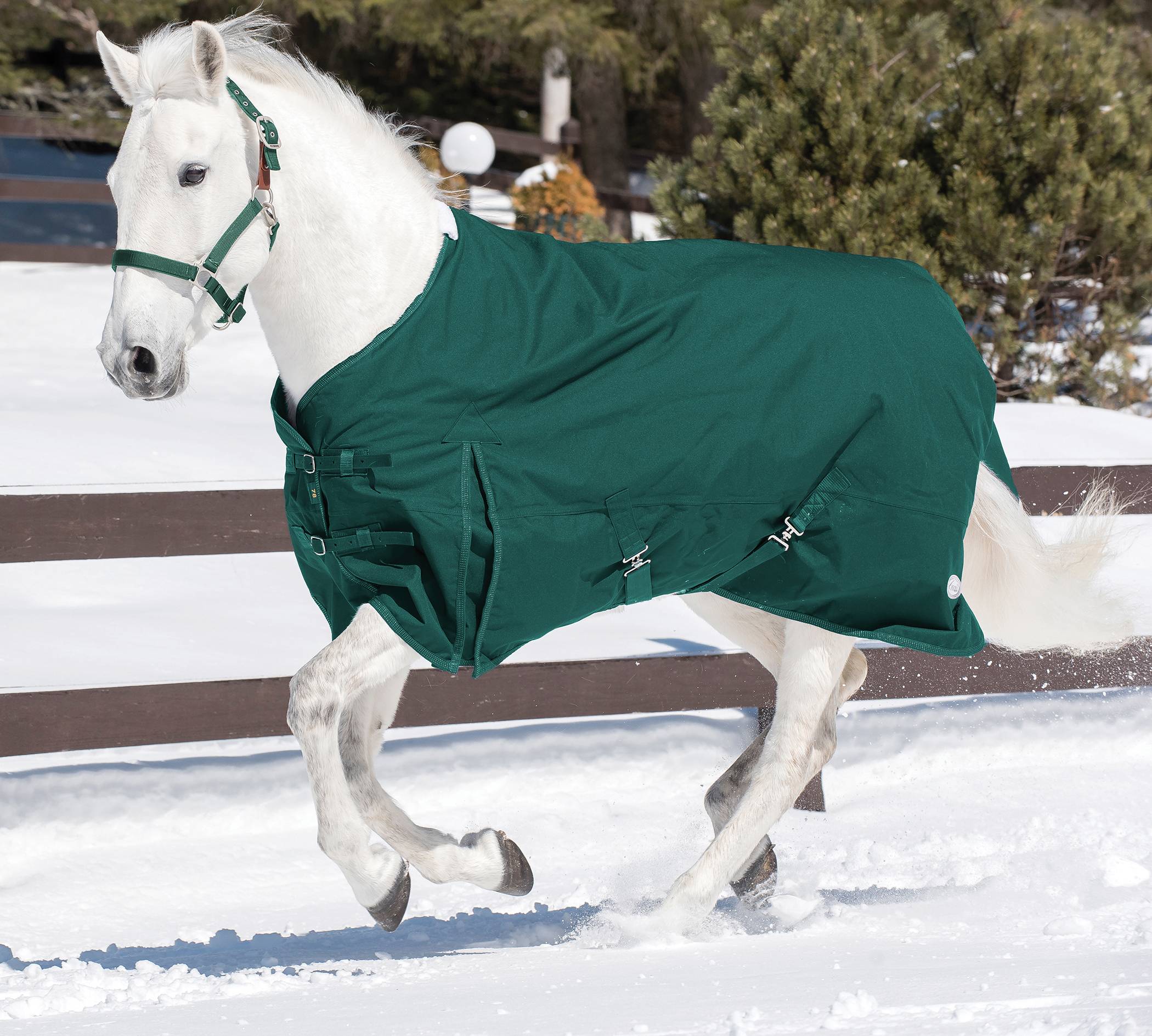 5-849056 Lami-Cell City 600 D Turnout Blanket - Medium Weig sku 5-849056