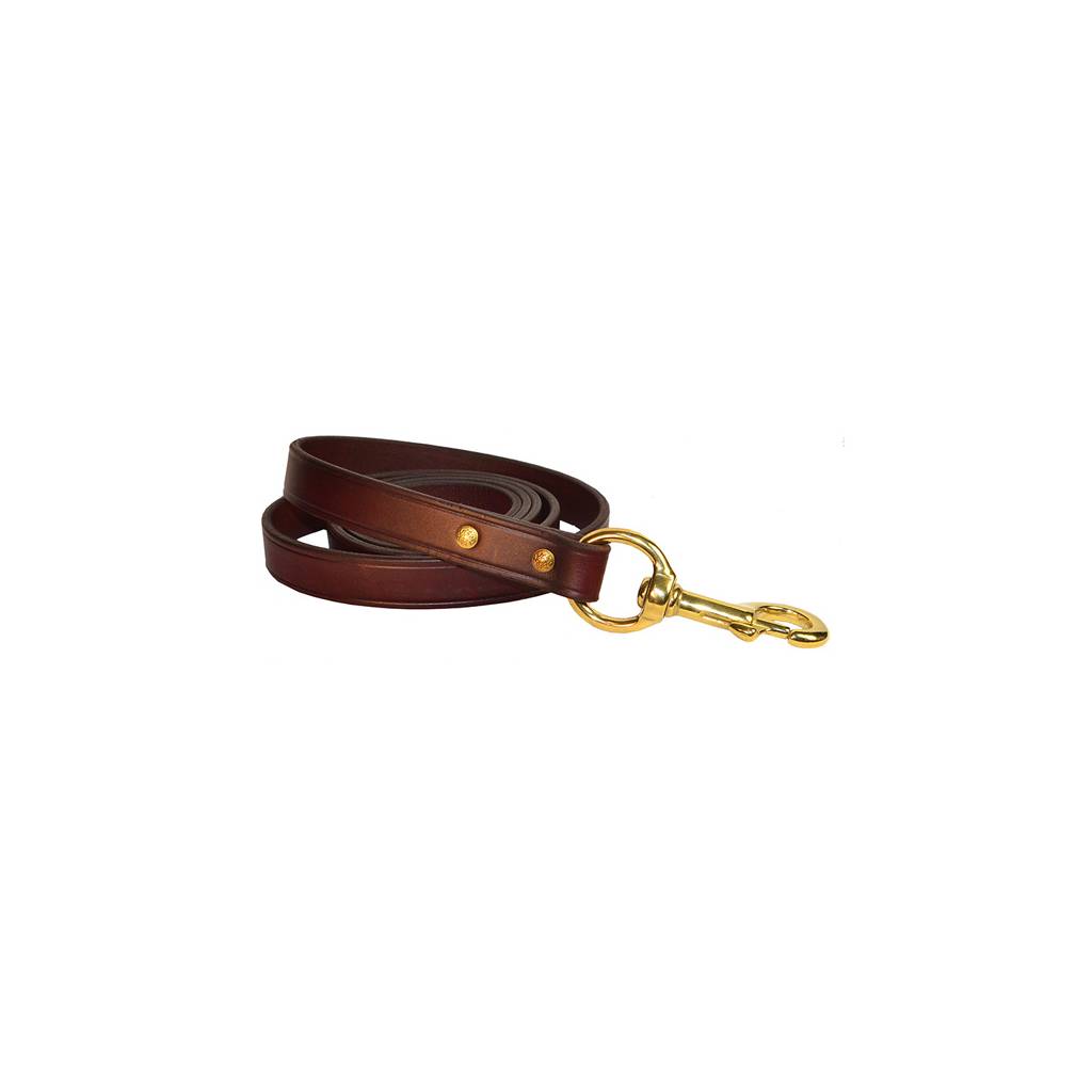 Perri's Dual Leather Lead with Brass Snap