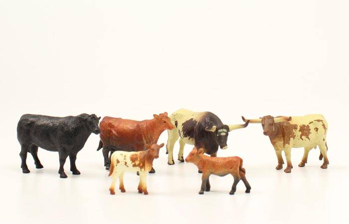 Bigtime Rodeo 6 Cow Figure Set