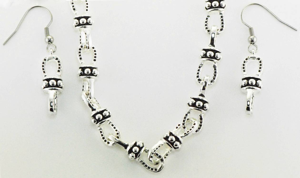 Western Edge Beaded Horseshoe Chain Necklace and Earring Set