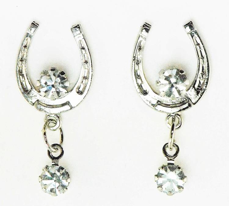 Western Edge Crystal Dangle Horseshoe Earrings