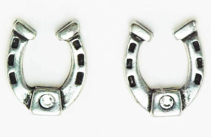 Western Edge Crystal Stone Horseshoe Post Earrings