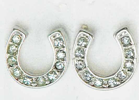 Western Edge Horseshoe With Crystal Stones Earrings