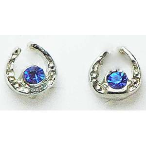 Western Edge Small Horseshoe with Crystal Stones Earrings