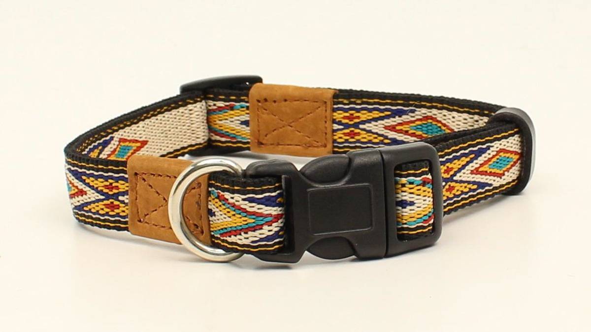 DBL Barrel 3/4 Woven Ribbon Dog Collar - Tan/Multi