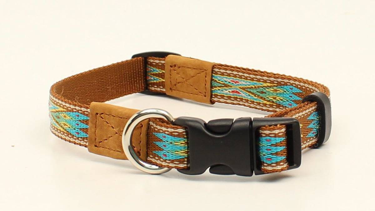 DBL Barrel 3/4 Woven Ribbon Dog Collar - Brown/Turquoise