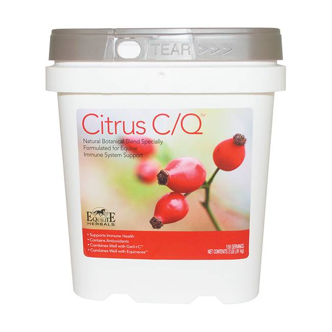 Equilite Citrus C/Q