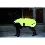 Rambo Reflective Dog Rug