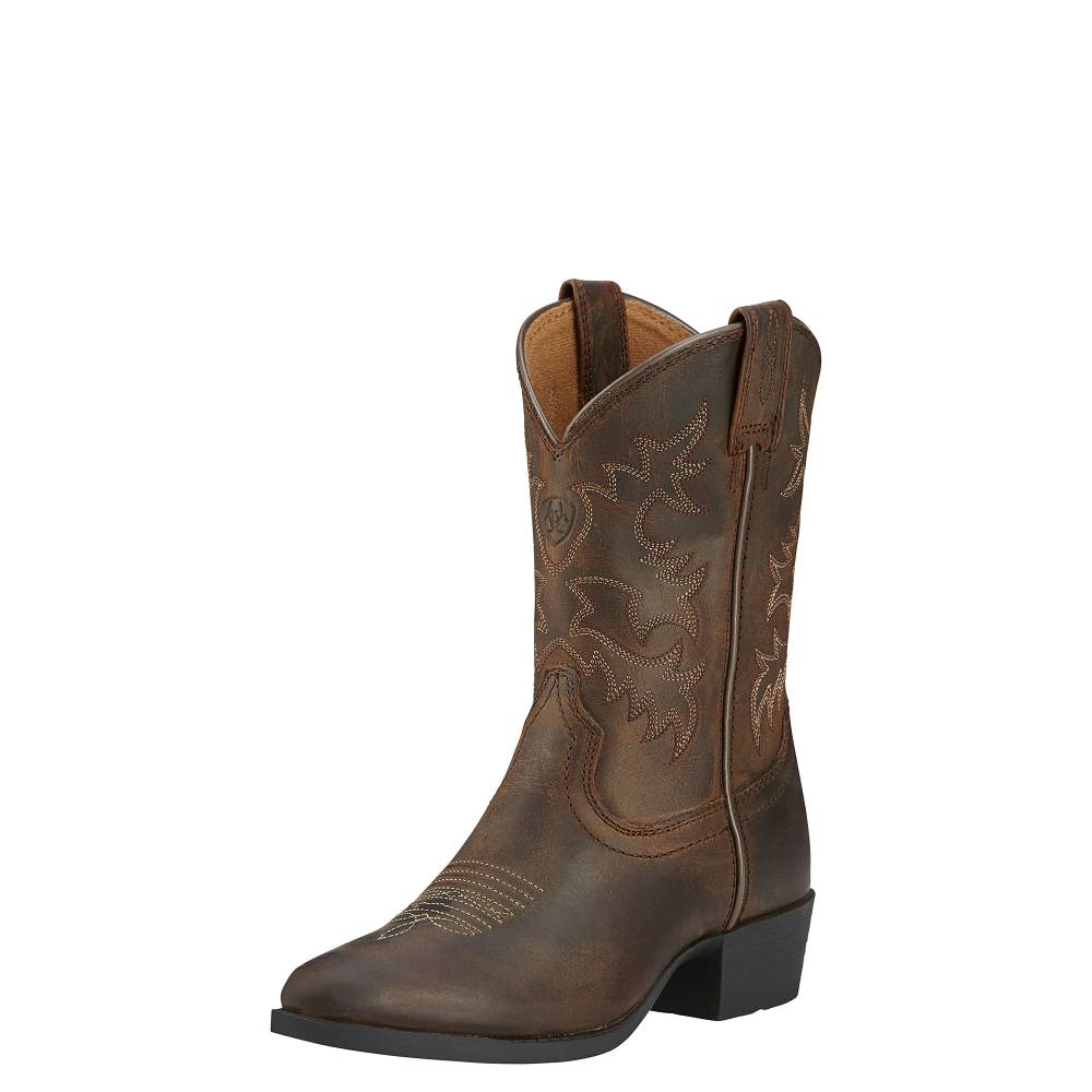 ariat childrens long riding boots