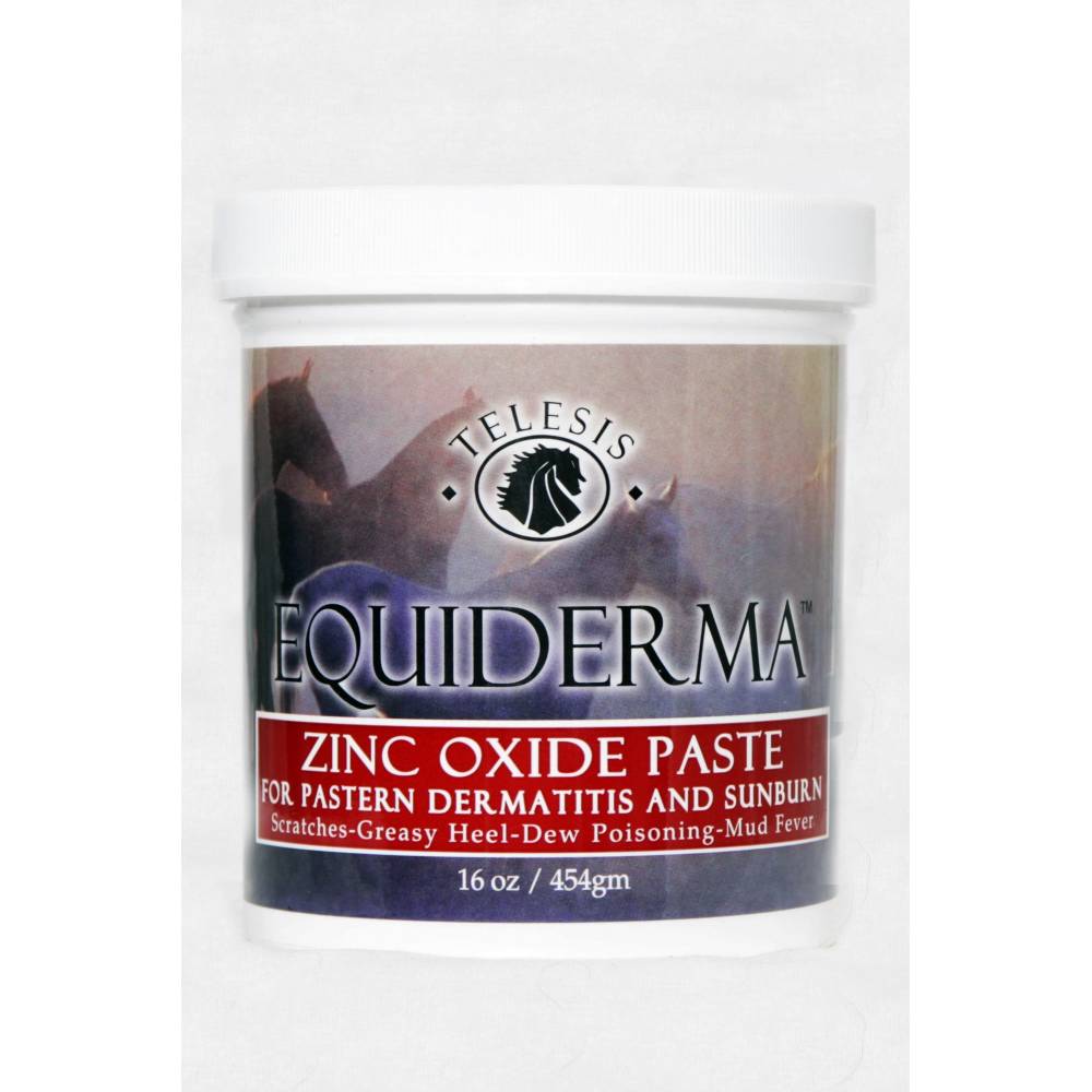 Equiderma Zinc Paste EquestrianCollections