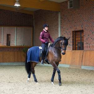 Horze Crescendo Vail Wool Riding Blanket