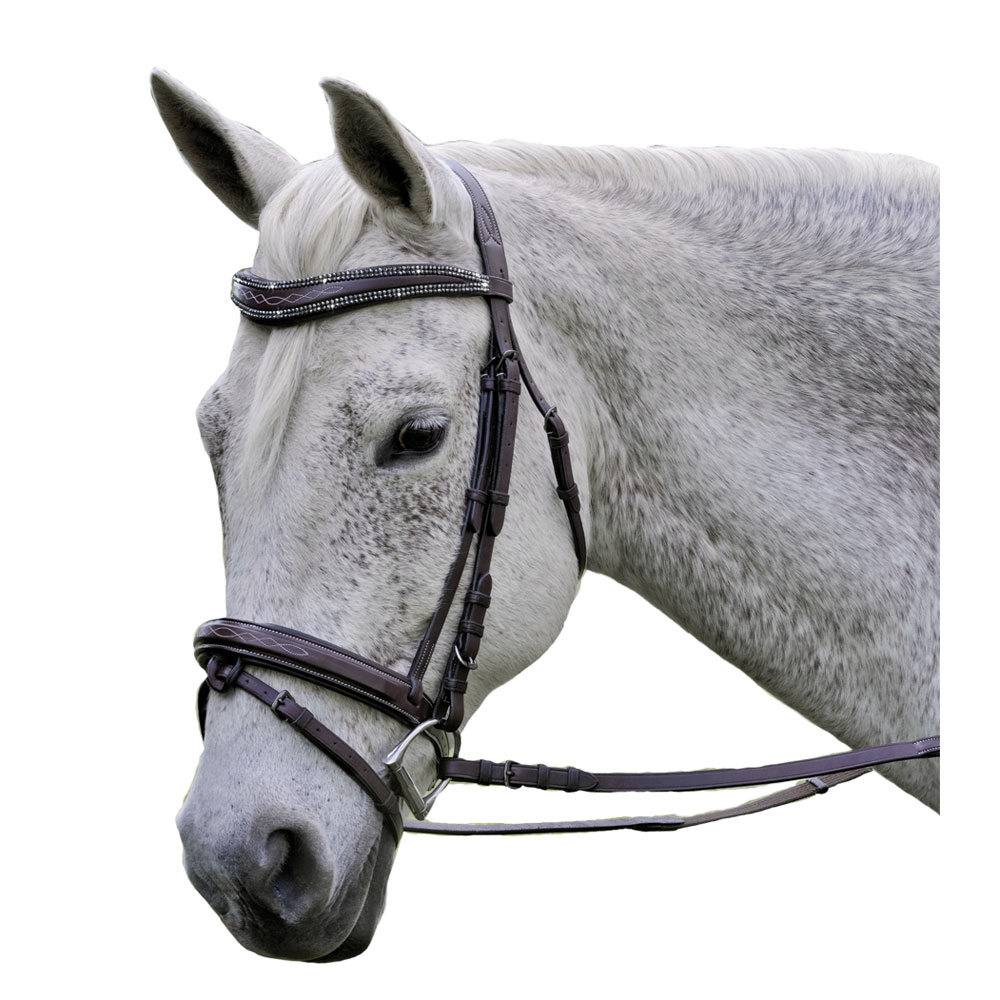 Exselle Elite Fancy Stitched Padded Bridle Flash Caveson with Extra Brow