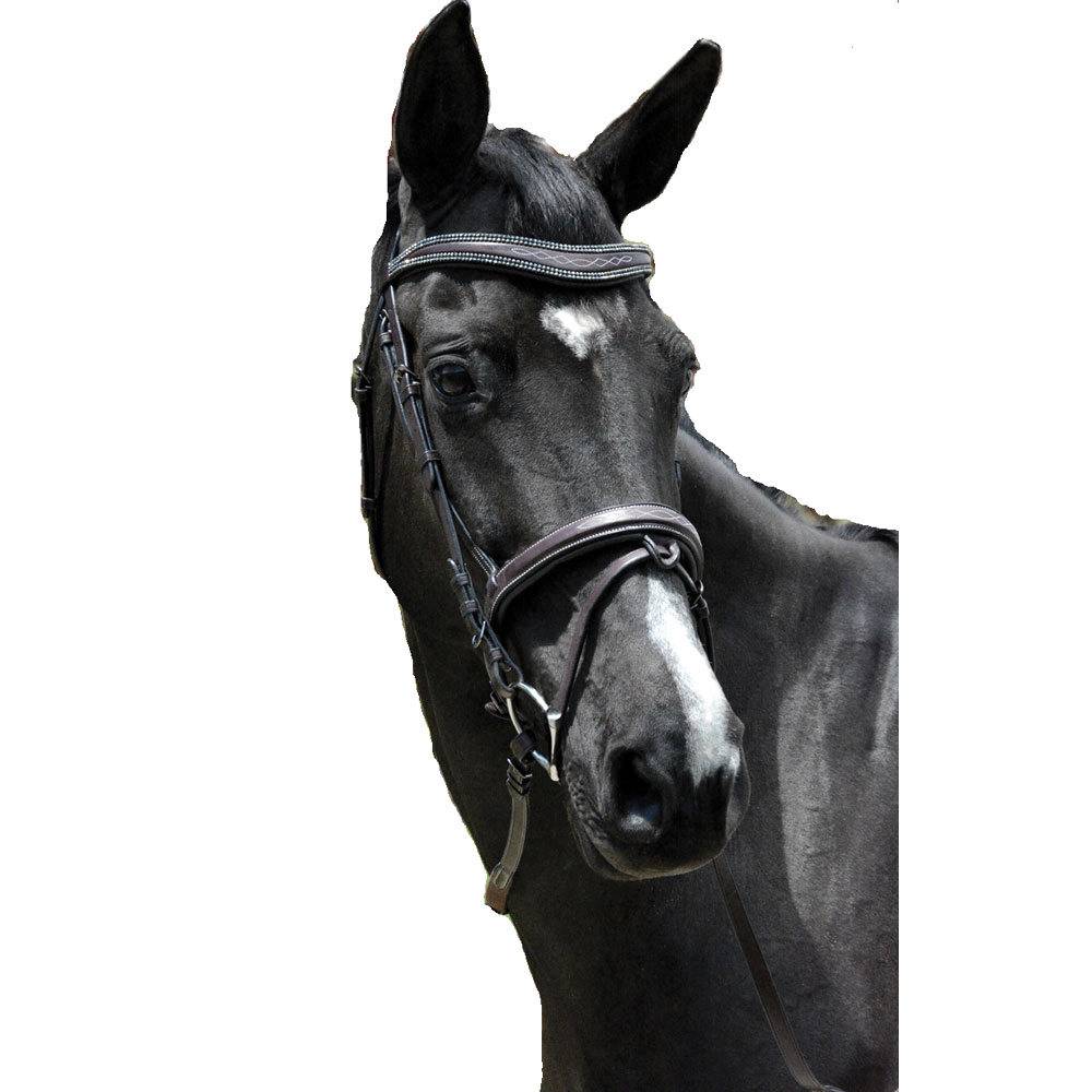 Exselle Elite Fancy Stitched Padded Bridle Flash Caveson with Extra Brow